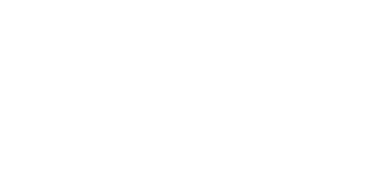 BR LOG